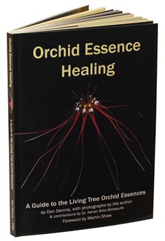 Orchideen-Buch Orchid Essence Healing von Don Dennis
